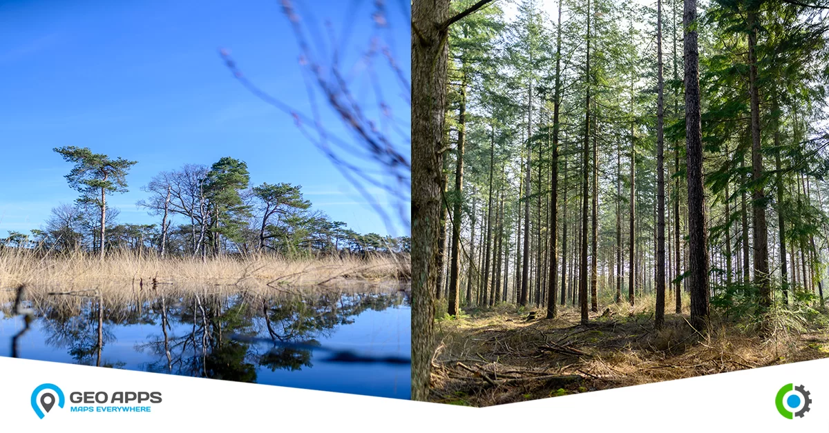 Hoe online kaarten ecologisch advieswerk helpen opbloeien hero background